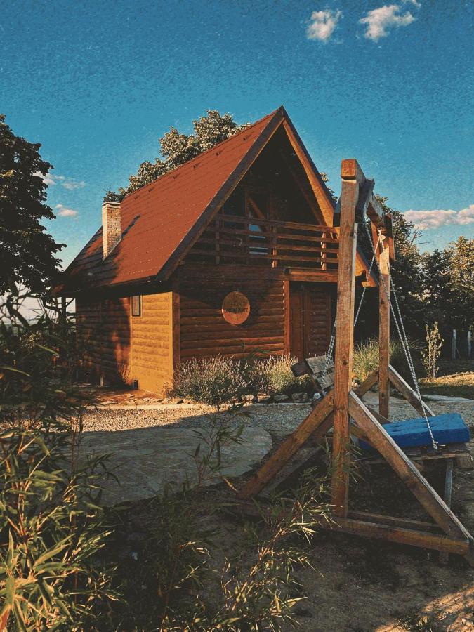 Laguna Platz سرمسكي كارلوفيتش المظهر الخارجي الصورة