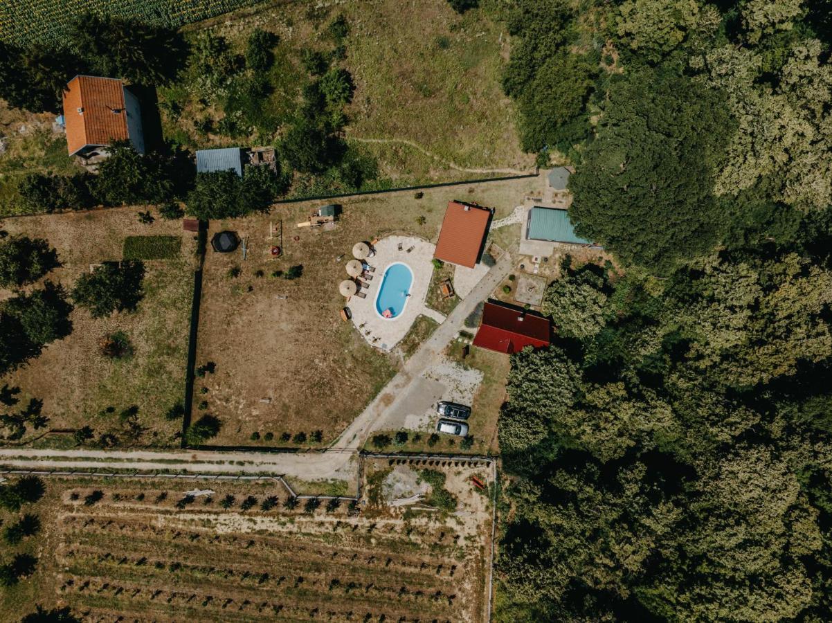 Laguna Platz سرمسكي كارلوفيتش المظهر الخارجي الصورة